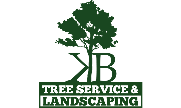 K & B Tree Service & Landscaping